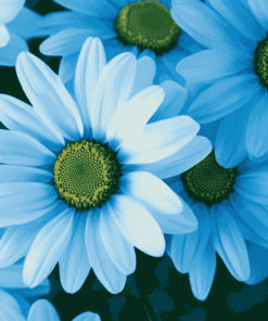 Blue Daisies Flower Diamond Painting