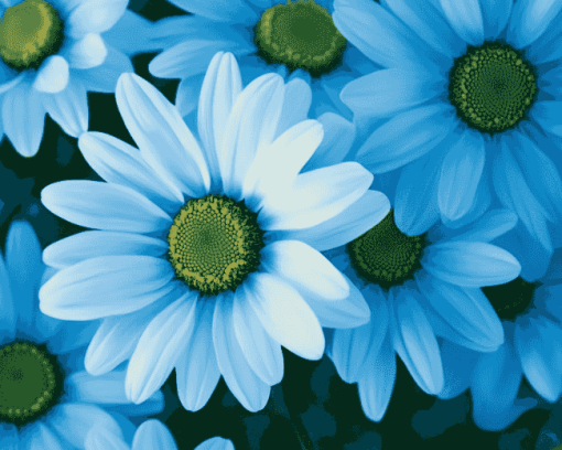 Blue Daisies Flower Diamond Painting