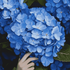 Blue Hydrangea Blossoms Diamond Painting