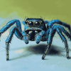 Blue Spider Insect Diamond Painting