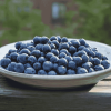 Blueberry Fruits Patio Diamond Painting