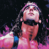 Bret Hart Legendary Wrestler Diamond Painting