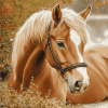 Brown Welsh Pony Horse Diamond Painting