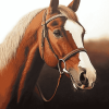 Brown White Horse Diamond Painting