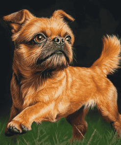 Brussel Griffon Puppy Diamond Painting