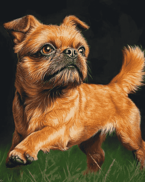 Brussel Griffon Puppy Diamond Painting