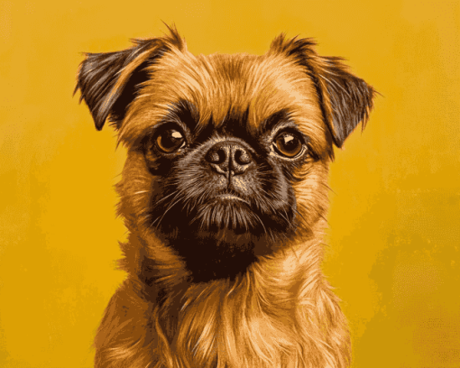 Brussels Griffon Dog Diamond Painting