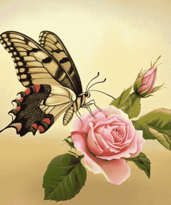 Butterfly Roses Blossoms Diamond Painting