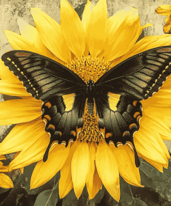 Butterfly Sunflower Blossoms Diamond Painting