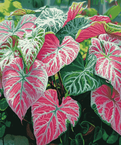 Caladium Vibrant Leaves Diamond Painting