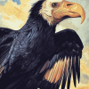 California Condor Bird Diamond Painting