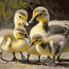 Canada Geese Flock Diamond Painting