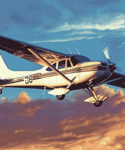 Cessna 182 Airplane Diamond Painting