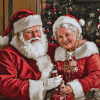 Christmas Mr and Mrs Claus Diamond Painting