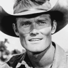 Chuck Connors Black and White Diamond Painting