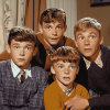 Classic TV Characters My Three Sons Diamond Painting