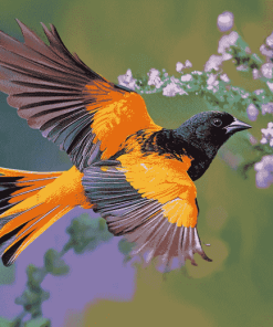 Colorful Baltimore Oriole Diamond Painting