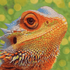 Colorful Bearded Dragon Diamond Painting