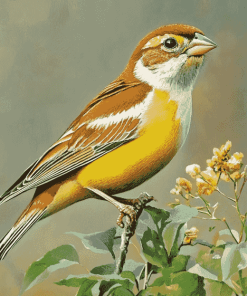 Colorful Dickcissel Bird Diamond Painting