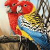 Colorful Eastern Rosellas Diamond Painting