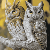 Colorful Eastern Screech Owl Diamond Painting