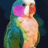 Colorful Quaker Parrot Diamond Painting