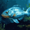 Common Dentex Fish Diamond Painting