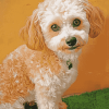 Corgi Poodle Pet Diamond Painting