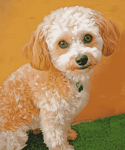 Corgi Poodle Pet Diamond Painting