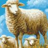 Curly Sheep Lamb Diamond Painting