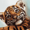 Cute Baby Tiger Face Diamond Painting