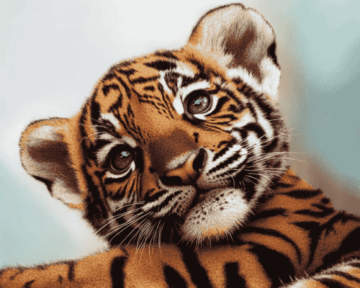 Cute Baby Tiger Face Diamond Painting