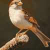 Cute Moineau Bird Diamond Painting