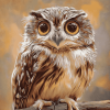 Cute Ninoxe Boobook Owl Diamond Painting