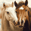 Cute Sable Island Ponies Diamond Painting