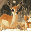 Cute Steenbok Animal Diamond Painting