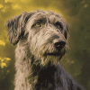 Cute Wolfhound Puppies Diamond Painting