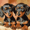 Dachshund Miniature Puppies Diamond Painting