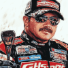 Dale Earnhardt Legendary Race Diamond Painting