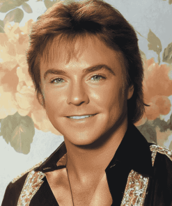 David Cassidy Celebrity Art Diamond Painting