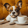 Dog Lover's Coffee Diamond Painting