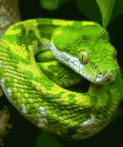 Emerald Snake Reptile Diamond Painting