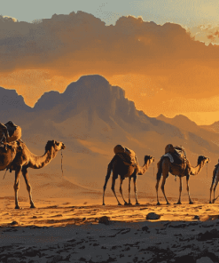 Ethiopian Camels Landscape Diamond Painting