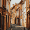 Exploring Toulouse Streets France Diamond Painting