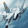 F 14 Tomcat Jets Diamond Painting