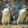 Fairy Penguin Birds of Australia Diamond Painting