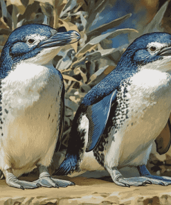 Fairy Penguin Birds of Australia Diamond Painting