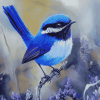 Fairy Wren Birds Diamond Painting