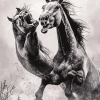 Fighting Horses Monochrome Diamond Painting