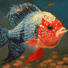 Flowerhorn Fish Beauty Diamond Painting